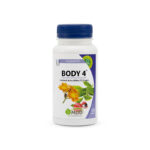 Body 4