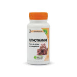 Lithothamne