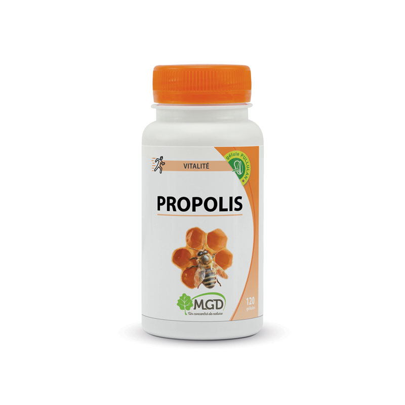 Propolis.jpg Propolis – Image 1