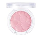 BAKED BLUSHER PINK SORBET